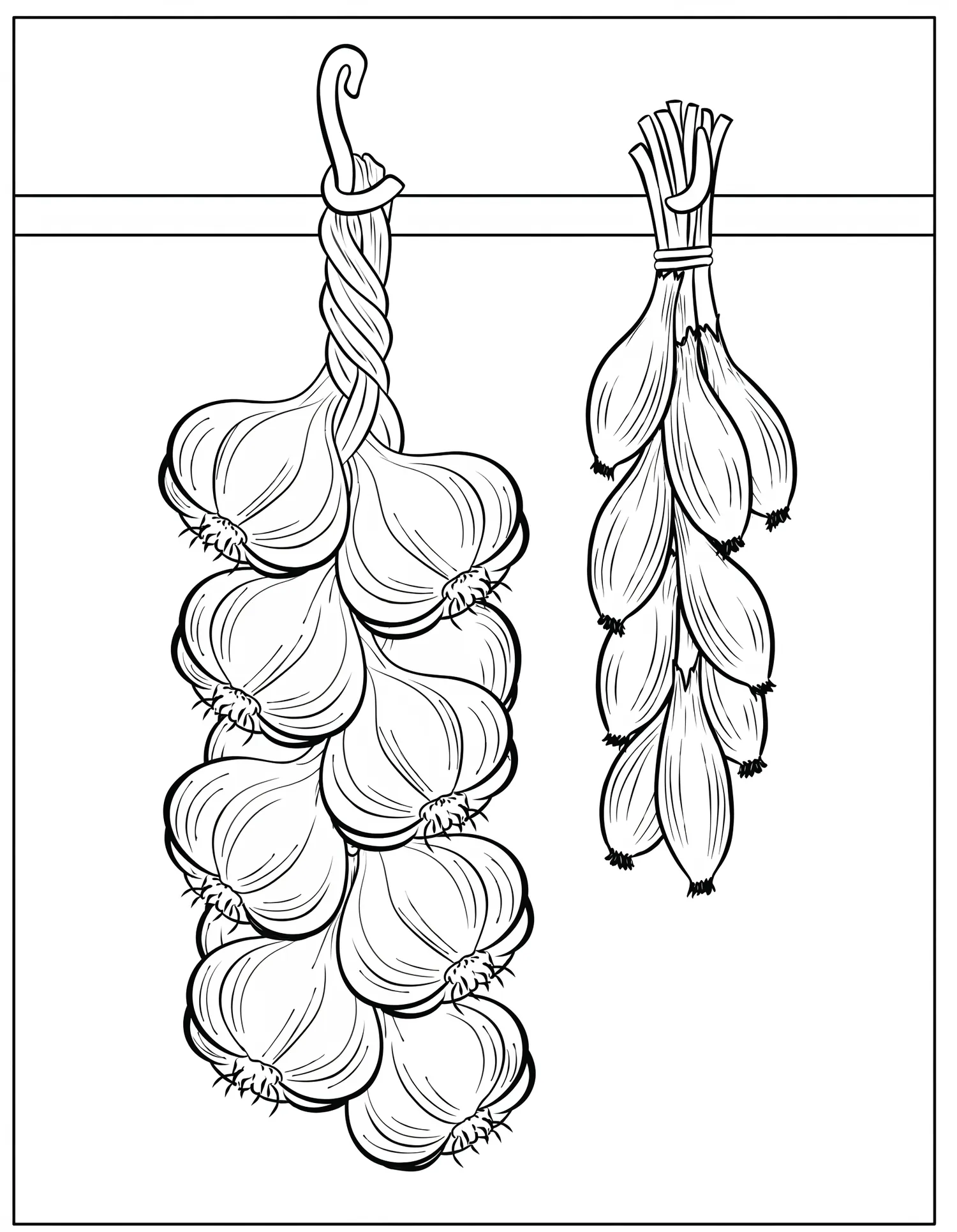 Ail Tressé et Oignons en Chapelet, Coloriage cuisine à imprimer gratuitement